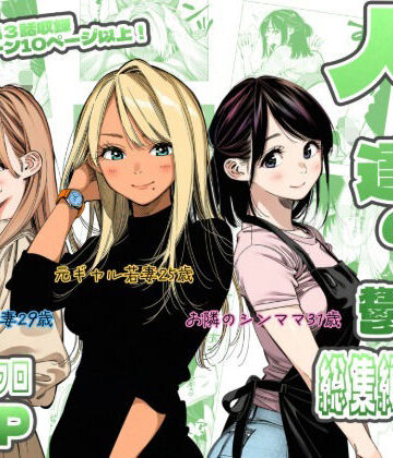 人妻達の憂鬱 総集編1【AOI-Atelier❤人妻・主婦】レビュー