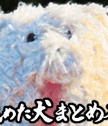 舐めた犬まとめ本【舐めた犬❤ギャグ・コメディ】レビュー4.86
