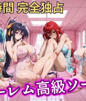 朝から晩までハーレム高級ソープ 【ハイスクールD×D】【ヒロインズ❤辱め】レビュー