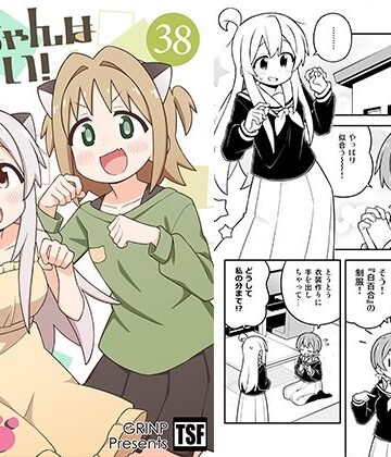 お兄ちゃんはおしまい！38【GRINP❤ギャグ・コメディ】レビュー