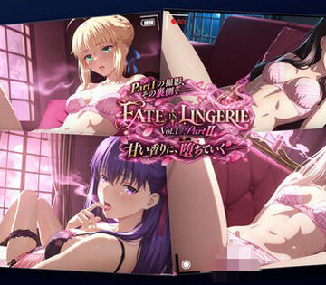 FATE IN LINGERIE / Vol.1 / Part II【SnowAsh❤盗撮・のぞき】レビュー