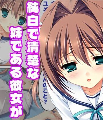 【D.C.II 〜ダ・〇ーポII〜】兄への想いと黒い夢【白銀学園販売委員会❤学園もの】レビュー