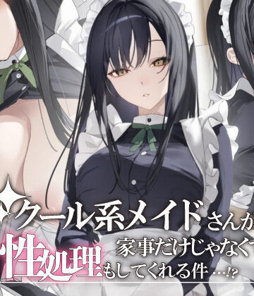 クール系メイドさんが家事だけじゃなくて性処理もしてくれる件【おこめつぶ❤メイド】レビュー