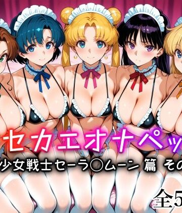 キセカエオナペット -美少女戦士セーラ◯ムーン篇 その3-【愛玩ファクトリー❤メイド】レビュー5.00